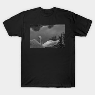 Lone mute swan searching the River Bure T-Shirt